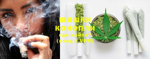 амф Гусь-Хрустальный