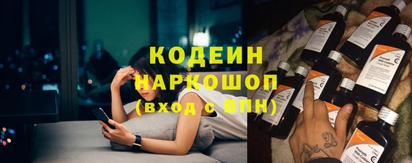 амф Гусь-Хрустальный