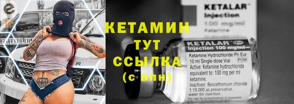 крисы Гусев
