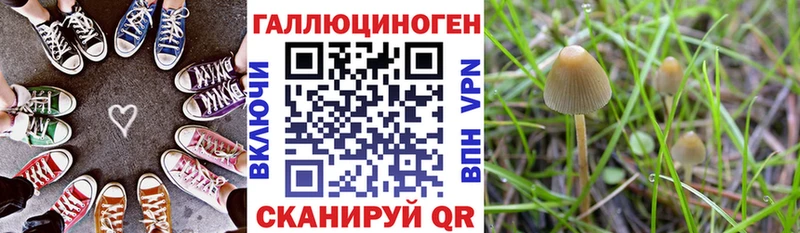 Галлюциногенные грибы ЛСД  закладки  Дубовка 